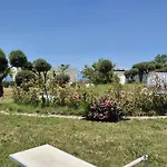 Elvira *