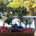 Elvira Casa de Férias *