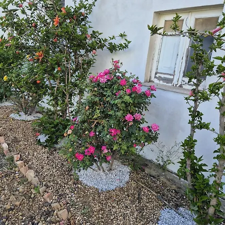 Ferienhaus Elvira