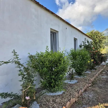 Ferienhaus Elvira