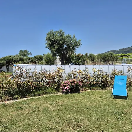 Elvira Belvedere Marittimo