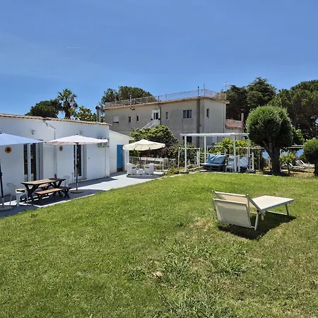 Elvira * 贝尔韦代雷