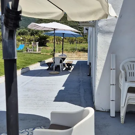 Elvira * Belvedere Marittimo