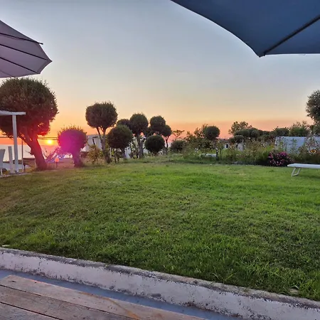 Elvira 贝尔韦代雷