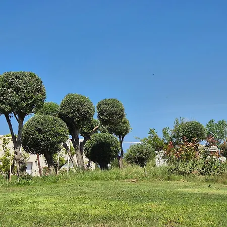 Elvira Σπίτι διακοπών Belvedere Marittimo