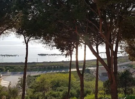 Elvira Belvedere Marittimo