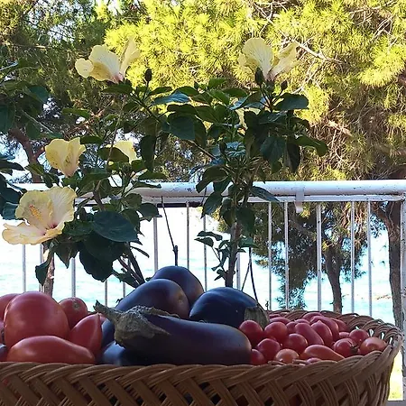Villa Elvira Country House Holiday home *