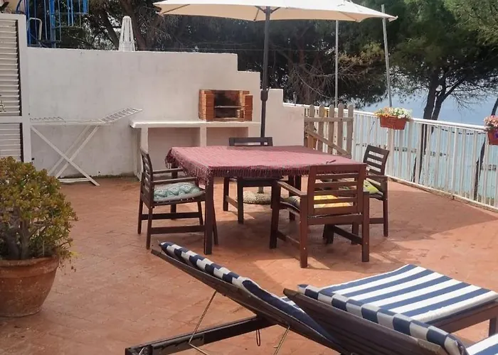 Elvira 贝尔韦代雷