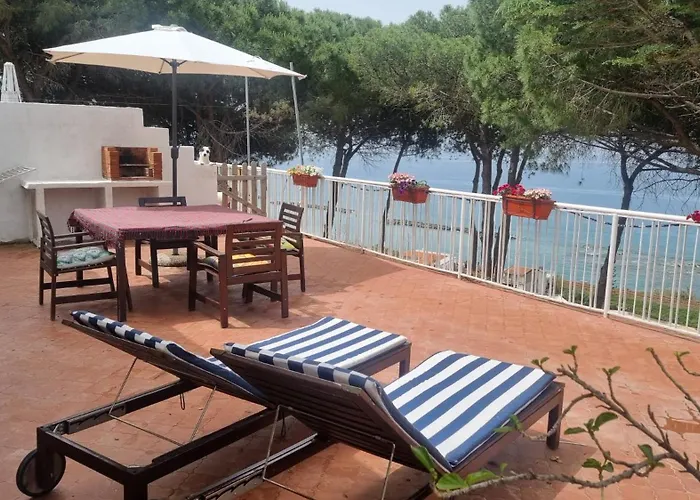 Elvira 贝尔韦代雷