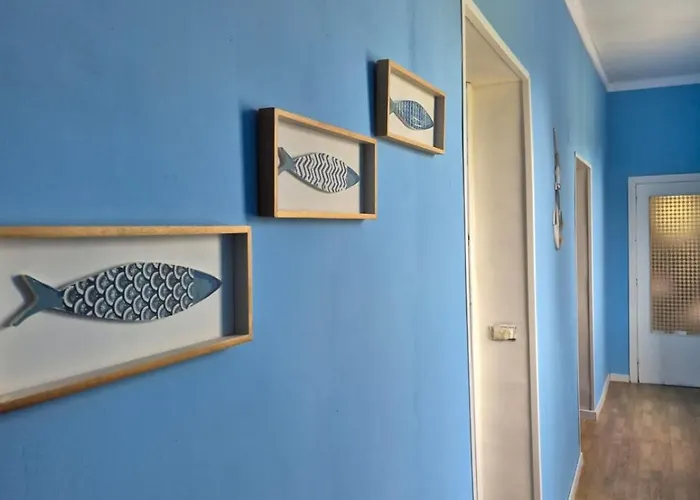 Elvira 贝尔韦代雷