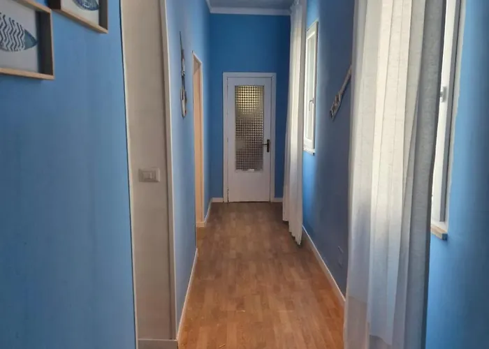 Elvira 贝尔韦代雷