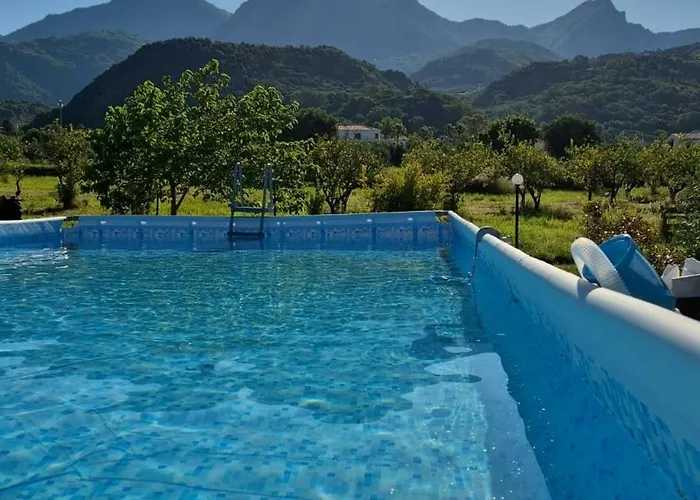 Elvira 贝尔韦代雷