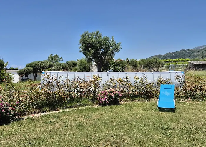 Elvira 贝尔韦代雷