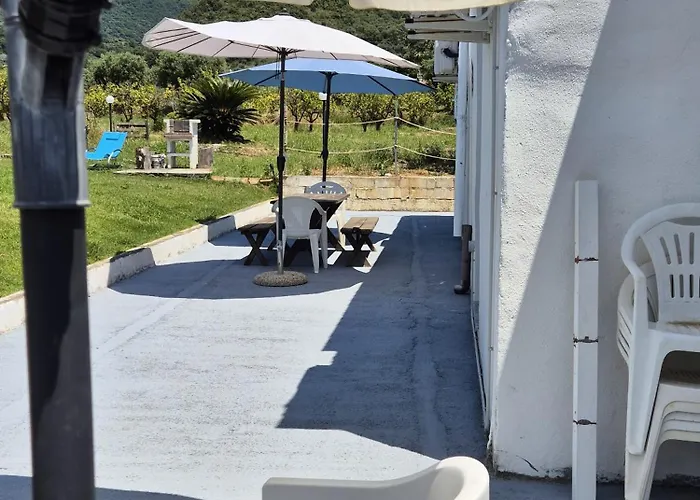 Elvira * 贝尔韦代雷