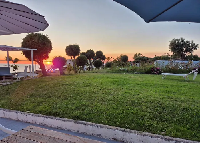 Elvira 贝尔韦代雷