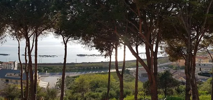 Elvira 贝尔韦代雷