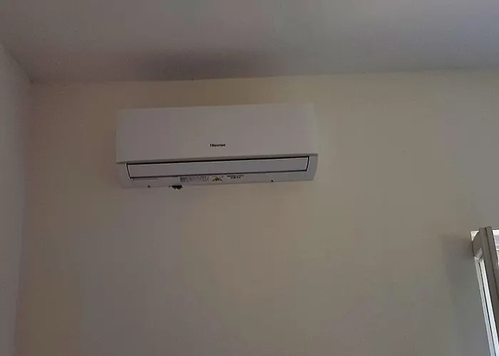 Elvira 贝尔韦代雷