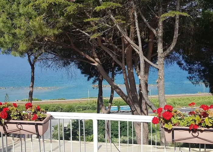 Elvira * 贝尔韦代雷